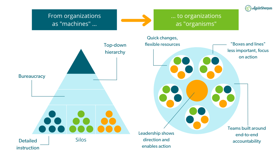 What Is The Agile Business Model?